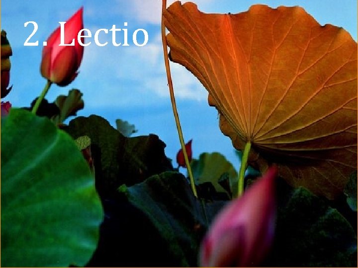 2. Lectio 