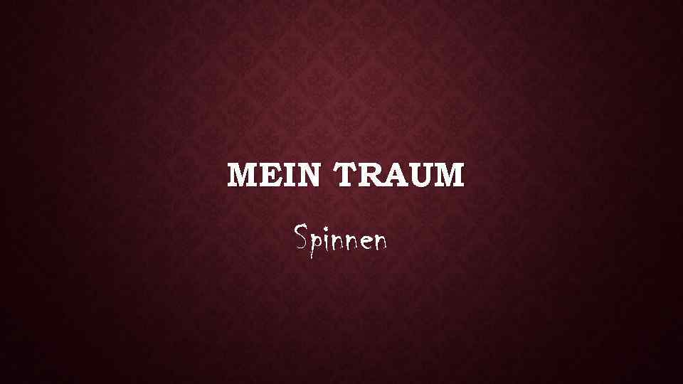 MEIN TRAUM Spinnen 