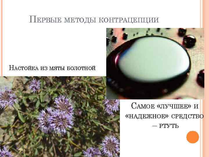 ПЕРВЫЕ МЕТОДЫ КОНТРАЦЕПЦИИ НАСТОЙКА ИЗ МЯТЫ БОЛОТНОЙ САМОЕ «ЛУЧШЕЕ» И «НАДЕЖНОЕ» СРЕДСТВО – РТУТЬ