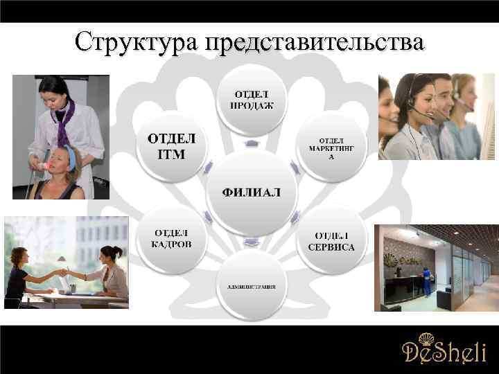 Структура представительства 