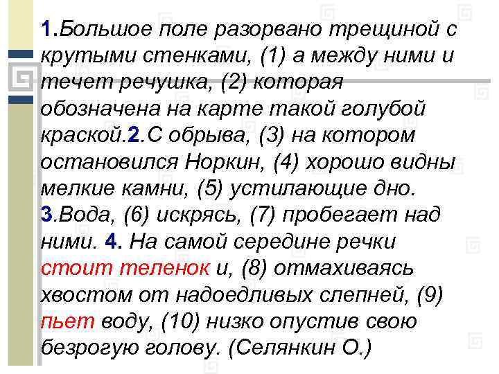 1. Большое поле разорвано трещиной с крутыми стенками, (1) а между ними и течет