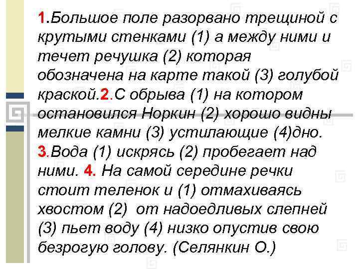 1. Большое поле разорвано трещиной с крутыми стенками (1) а между ними и течет