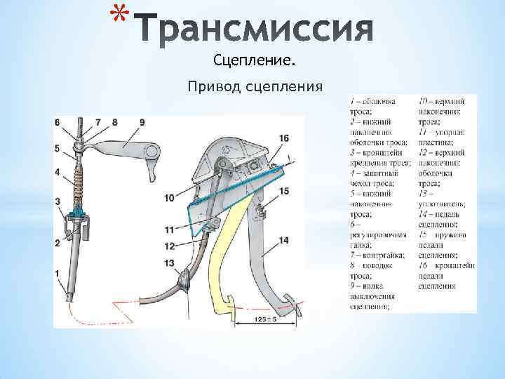 * Сцепление. Привод сцепления 