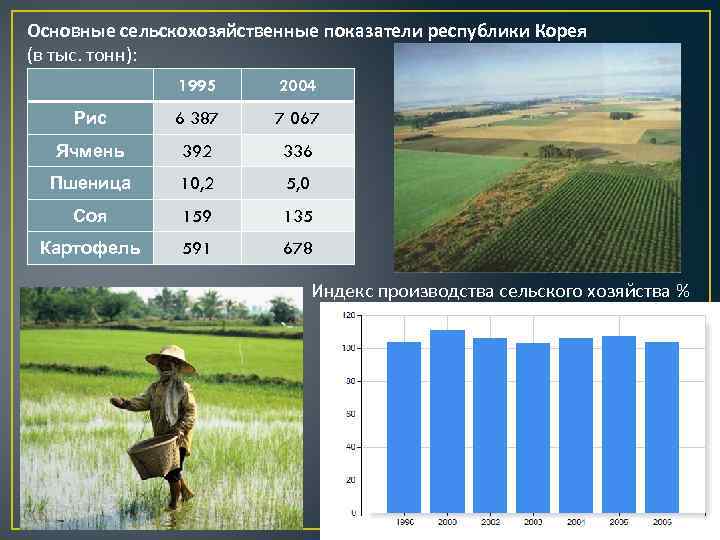 Основные сельскохозяйственные показатели республики Корея (в тыс. тонн): 1995 2004 Рис 6 387 7