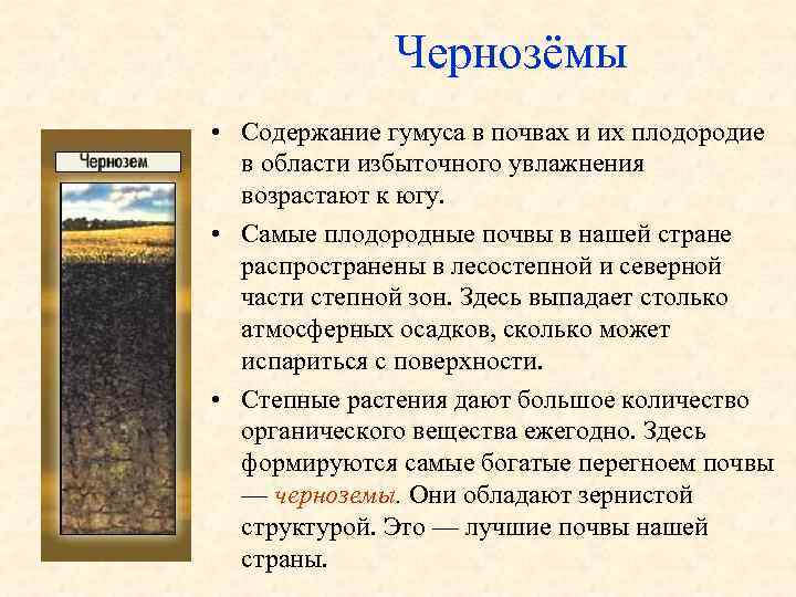 Чернозёмы • Содержание гумуса в почвах и их плодородие в области избыточного увлажнения возрастают