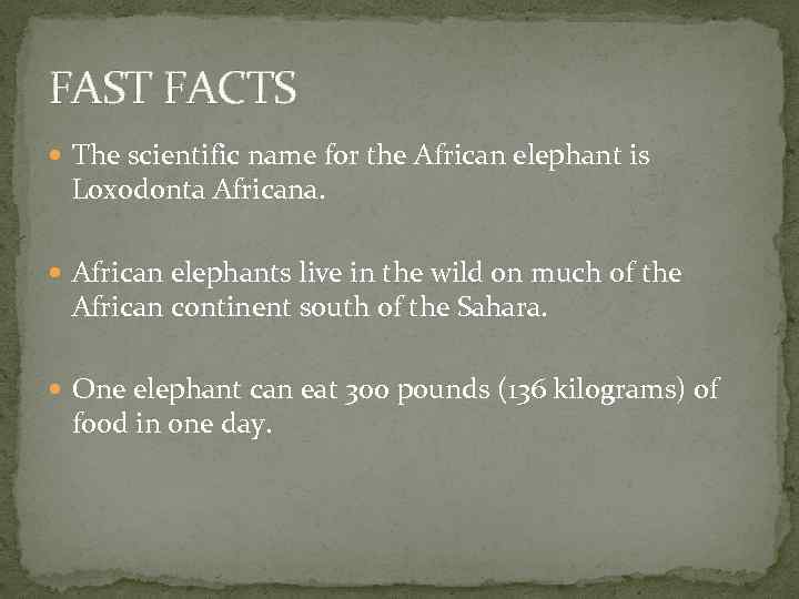 FAST FACTS The scientific name for the African elephant is Loxodonta Africana. African elephants