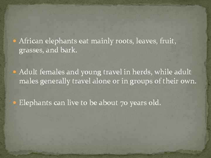  African elephants eat mainly roots, leaves, fruit, grasses, and bark. Adult females and