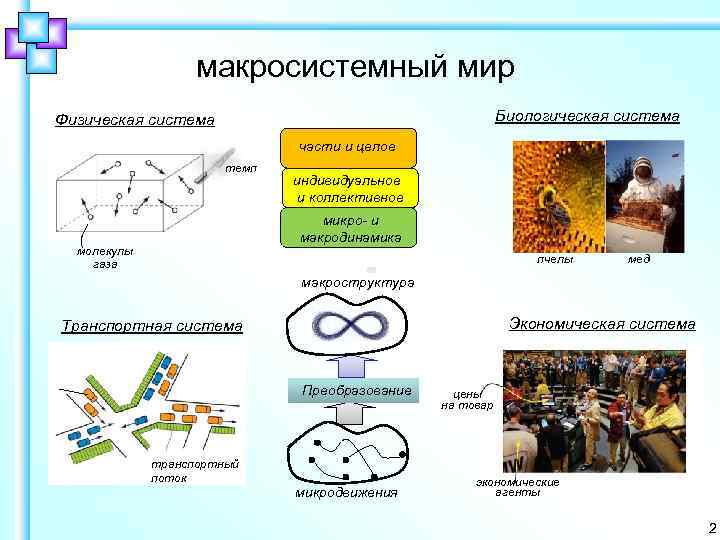 макросистемный мир Биологическая система Физическая система части и целое темп индивидуальное и коллективное микро-