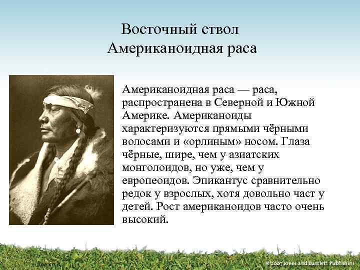 Восточный ствол Американоидная раса • Американоидная раса — раса, распространена в Северной и Южной