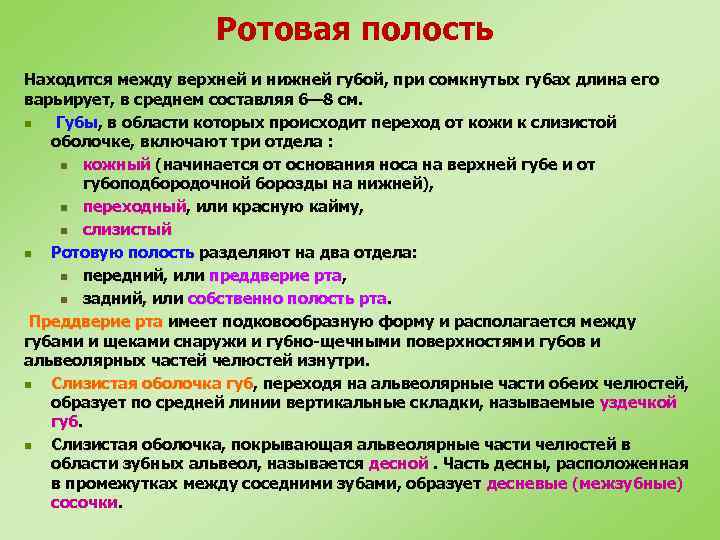 Ротовая полость Находится между верхней и нижней губой, при сомкнутых губах длина его варьирует,
