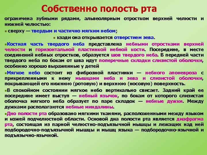 Собственно полость рта ограничена зубными рядами, альвеолярным отростком верхней челюсти и нижней челюстью: n