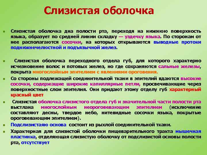 Слизистая оболочка n n n Слизистая оболочка дна полости рта, переходя на нижнюю поверхность