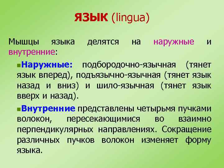 ЯЗЫК (lingua) Мышцы языка делятся на наружные и внутренние: n. Наружные: подбородочно-язычная (тянет язык