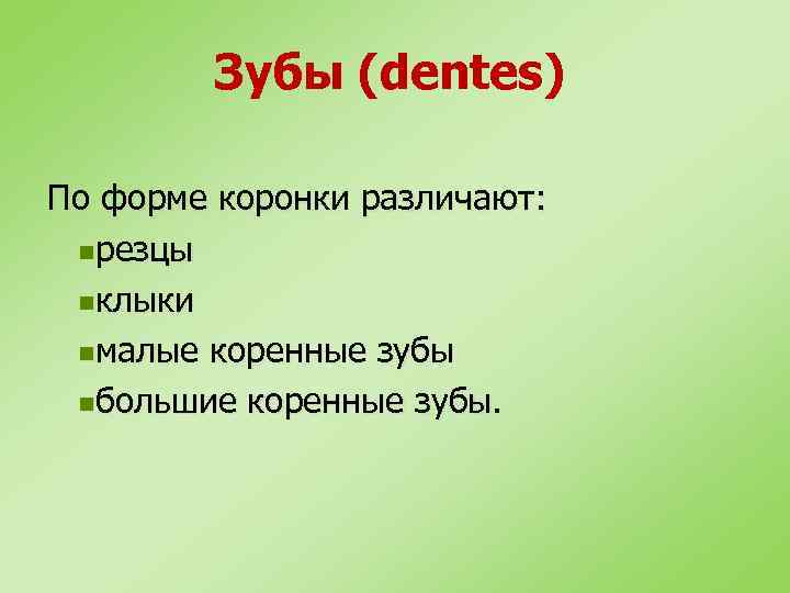 Зубы (dentes) По форме коронки различают: nрезцы nклыки nмалые коренные зубы nбольшие коренные зубы.