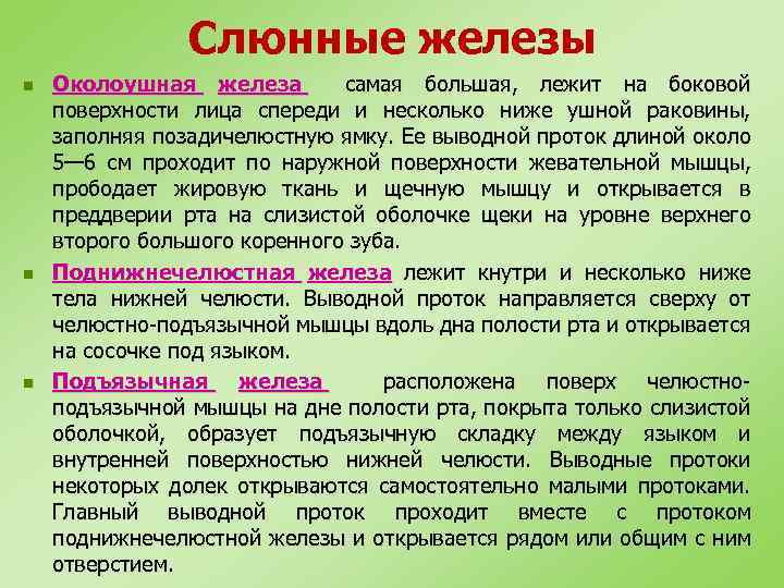 Слюнные железы n n n Околоушная железа самая большая, лежит на боковой поверхности лица