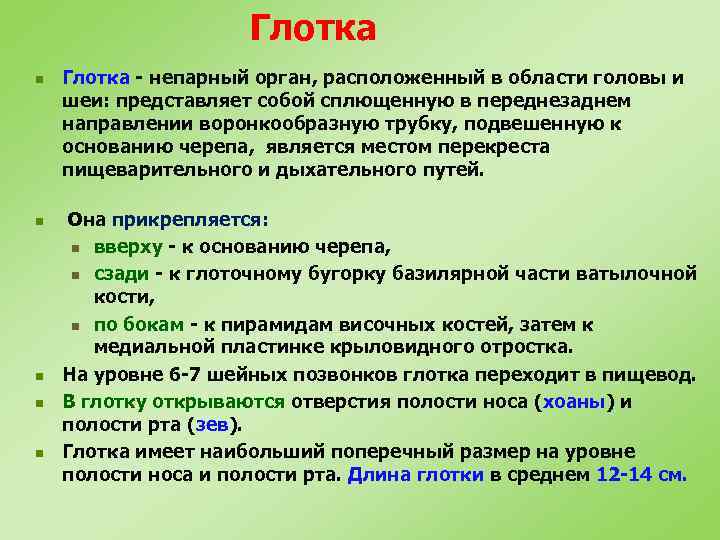 Глотка n n n Глотка - непарный орган, расположенный в области головы и шеи: