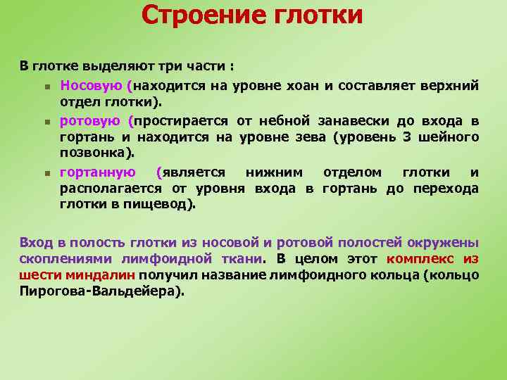 Строение глотки В глотке выделяют три части : n Носовую (находится на уровне хоан