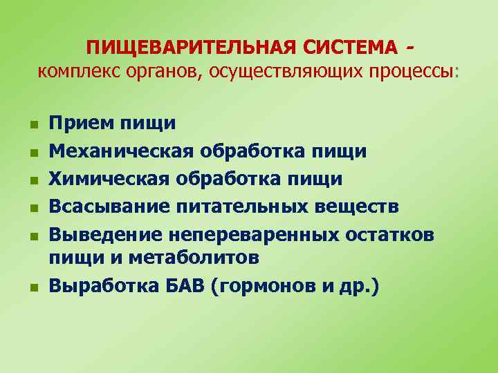 ПИЩЕВАРИТЕЛЬНАЯ СИСТЕМА комплекс органов, осуществляющих процессы: n n n Прием пищи Механическая обработка пищи
