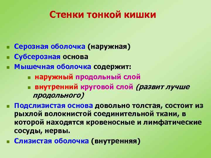 Стенки тонкой кишки n n n Серозная оболочка (наружная) Субсерозная основа Мышечная оболочка содержит: