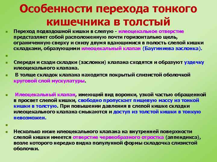 Особенности перехода тонкого кишечника в толстый n n n n Переход подвздошной кишки в