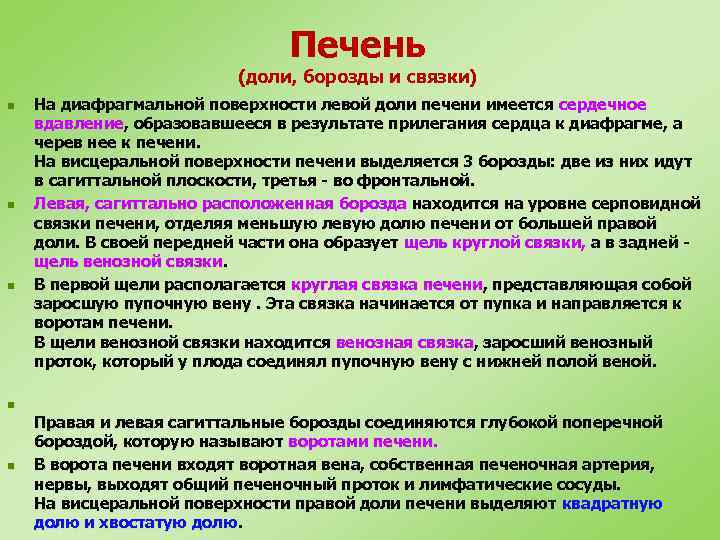 Печень (доли, борозды и связки) n n n На диафрагмальной поверхности левой доли печени