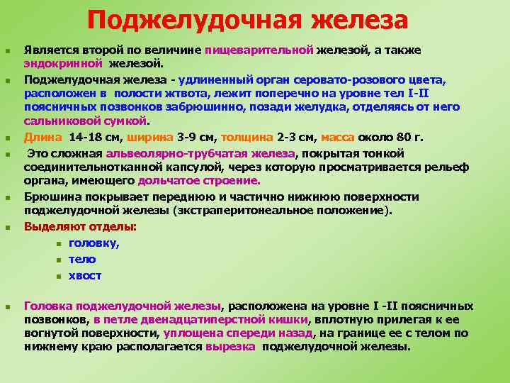 Поджелудочная железа n n n n Является второй по величине пищеварительной железой, а также