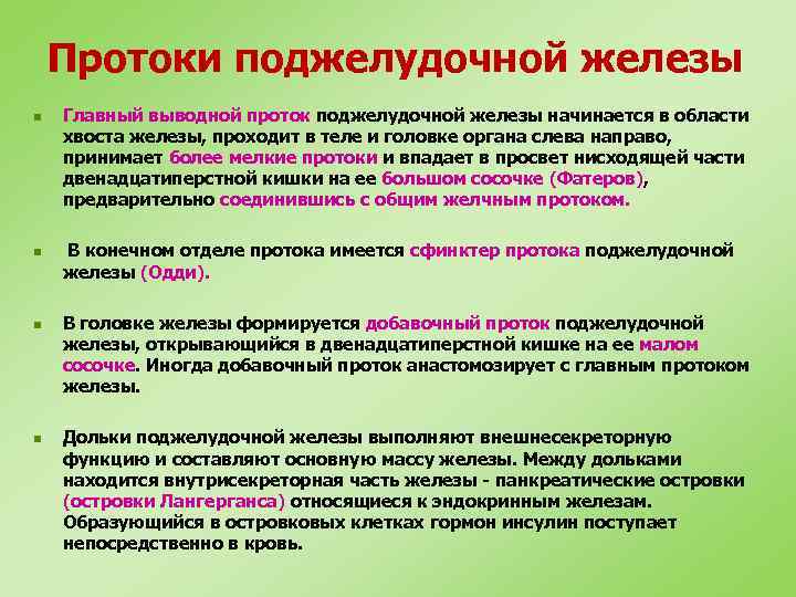Протоки поджелудочной железы n n Главный выводной проток поджелудочной железы начинается в области хвоста