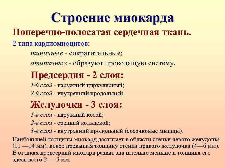 Строение миокарда Поперечно-полосатая сердечная ткань. 2 типа кардиомиоцитов: типичные - сократительные; атипичные - образуют