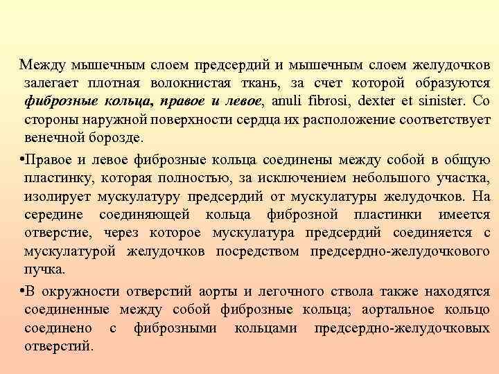 Между мышечным слоем предсердий и мышечным слоем желудочков залегает плотная волокнистая ткань, за счет