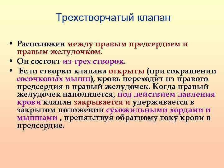 Трехстворчатый клапан • Расположен между правым предсердием и правым желудочком. • Он состоит из