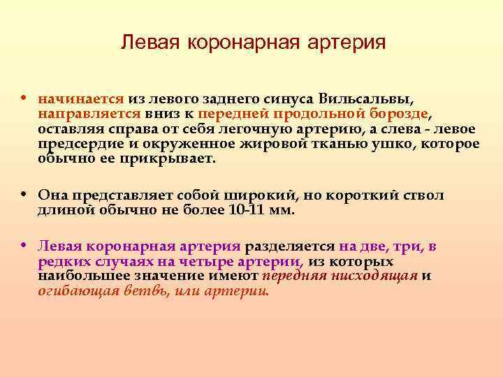 Левая коронарная артерия • начинается из левого заднего синуса Вильсальвы, направляется вниз к передней