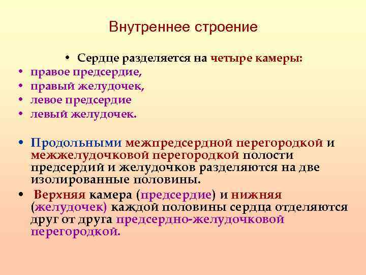 Внутреннее строение • • • Сердце разделяется на четыре камеры: правое предсердие, правый желудочек,