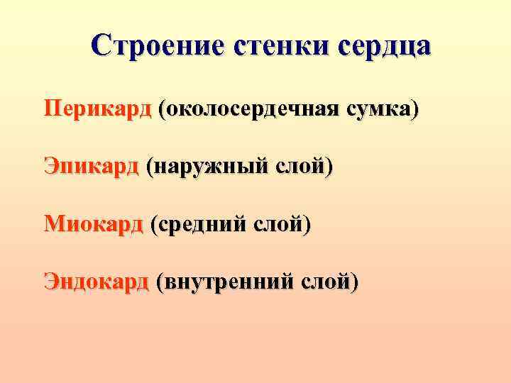 Строение стенки сердца Перикард (околосердечная сумка) Эпикард (наружный слой) Миокард (средний слой) Эндокард (внутренний