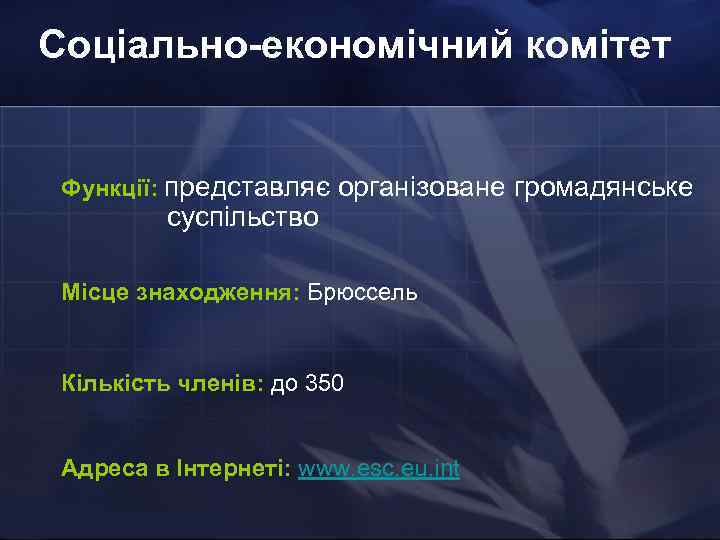 Соціально-економічний комітет Функції: представляє організоване громадянське суспільство Місце знаходження: Брюссель Кількість членів: до 350