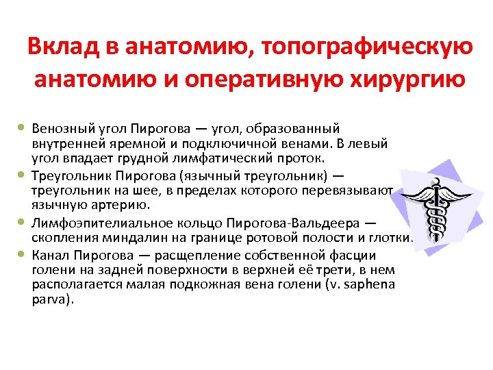 Вклад в анатомию, топографическую анатомию и оперативную хирургию Венозный угол Пирогова — угол, образованный