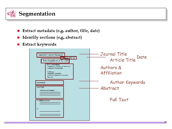 Segmentation n Extract metadata (e. g. author, title, date) n Identify sections (e. g.