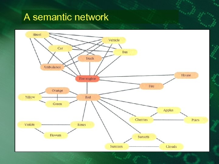 A semantic network 