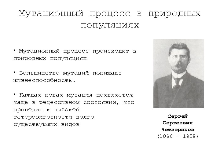 Мутационный процесс в природных популяциях • Мутационный процесс происходит в природных популяциях • Большинство