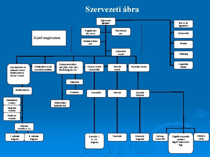 Szervezeti ábra Ügyvezető igazgató Foglalkozás Eü. orvos Külső megbízottak Bér és Tb ügyintéző Tűzvédelmi