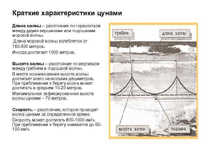 Презентация цунами и их характеристика обж 7 класс