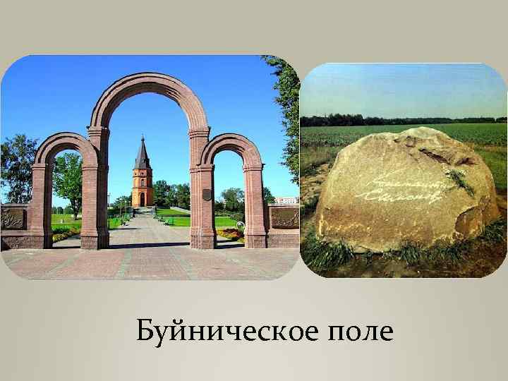 Буйническое поле фото