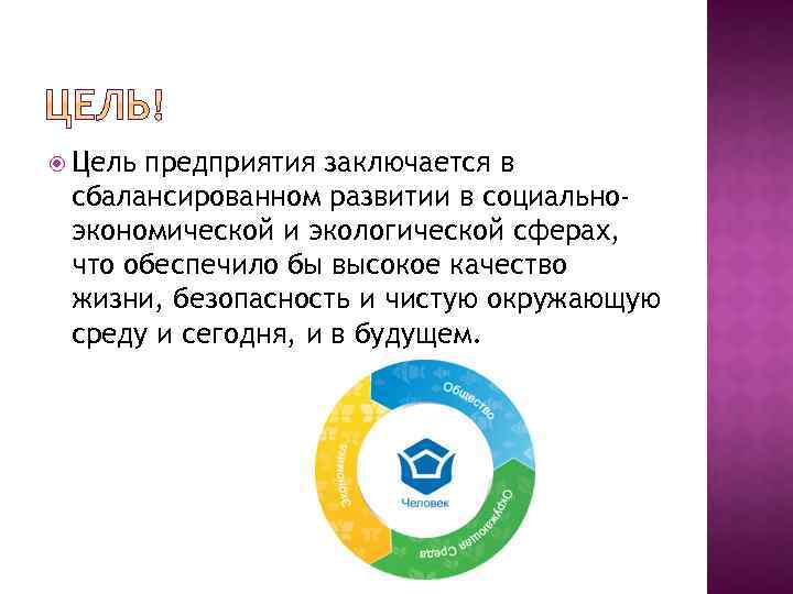  Цель предприятия заключается в сбалансированном развитии в социальноэкономической и экологической сферах, что обеспечило
