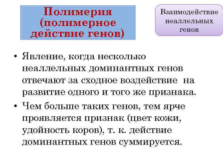 Полимерия (полимерное действие генов) Взаимодействие неаллельных генов • Явление, когда несколько неаллельных доминантных генов