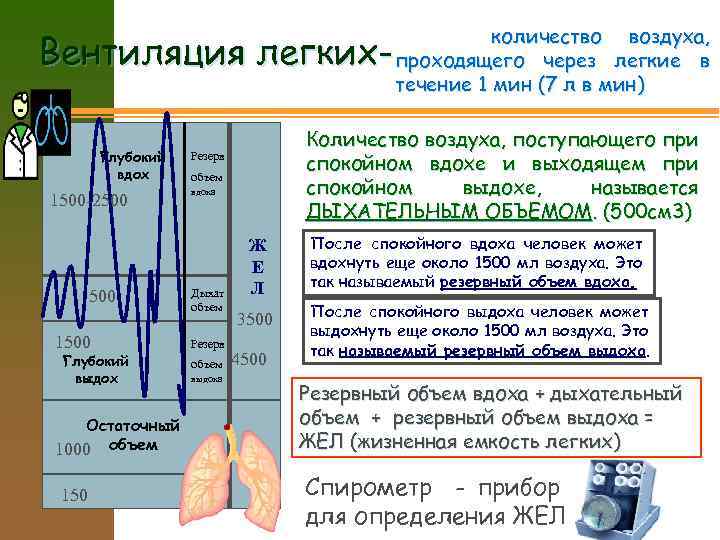 Объем воздуха после максимального выдоха