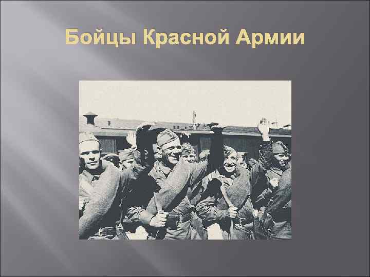 Бойцы Красной Армии 