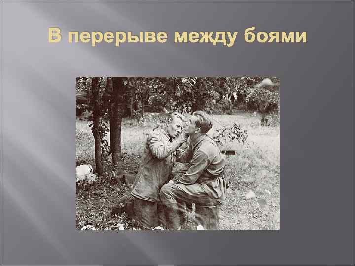 В перерыве между боями 