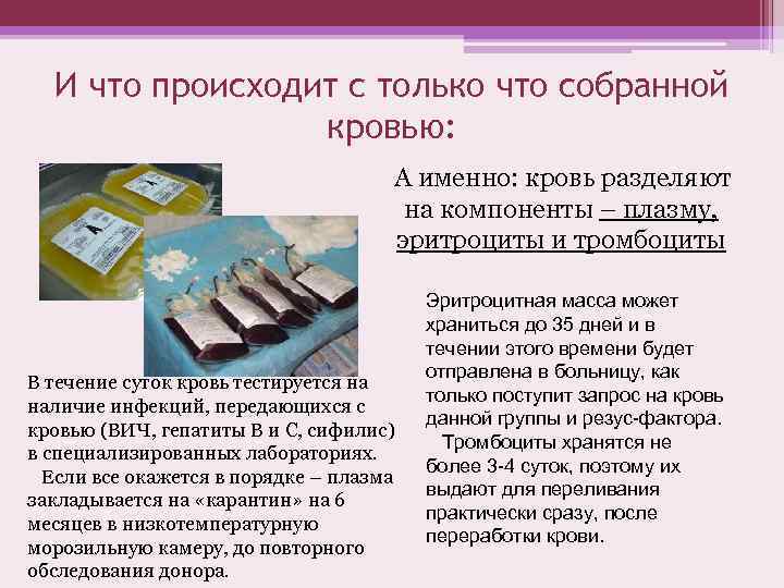 И что происходит с только что собранной кровью: А именно: кровь разделяют на компоненты