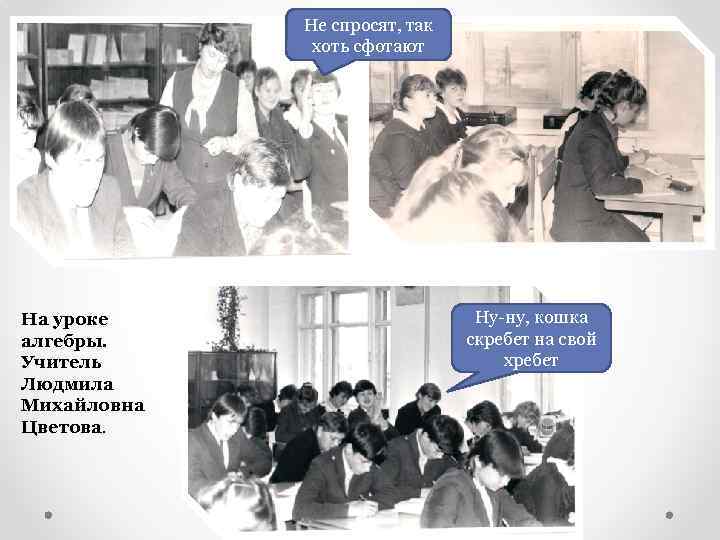 Не спросят, так хоть сфотают На уроке алгебры. Учитель Людмила Михайловна Цветова. Ну-ну, кошка