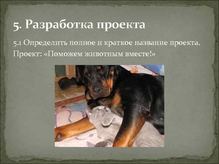 5. Разработка проекта 5. 1 Определить полное и краткое название проекта. Проект: «Поможем животным