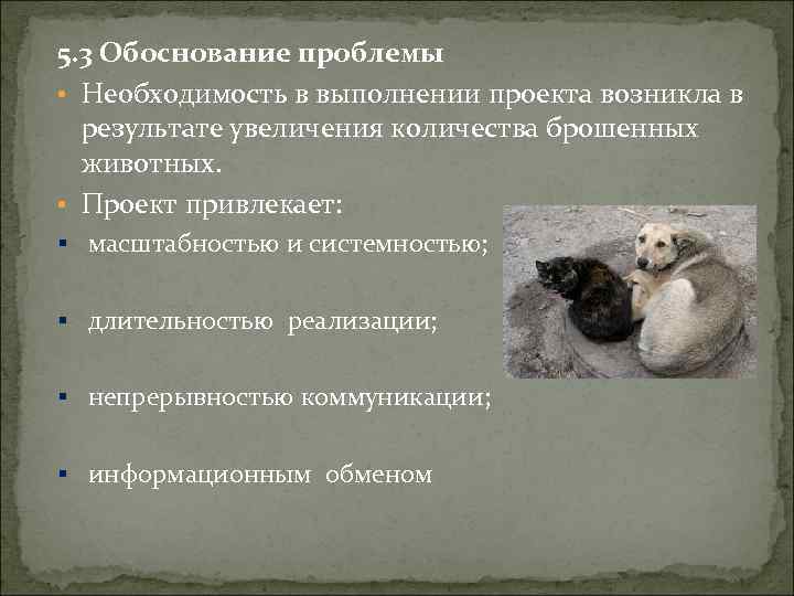5. 3 Обоснование проблемы • Необходимость в выполнении проекта возникла в результате увеличения количества